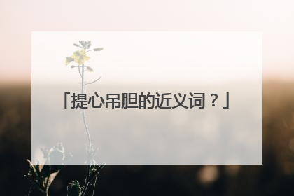 提心吊胆的近义词？
