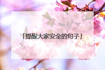 提醒大家安全的句子