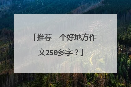 推荐一个好地方作文250多字？
