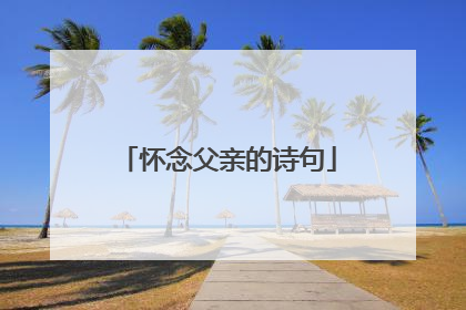 怀念父亲的诗句