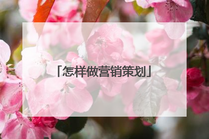怎样做营销策划