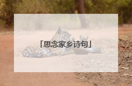 思念家乡诗句