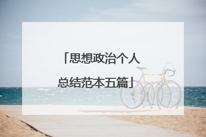 思想政治个人总结范本五篇
