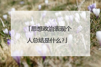 思想政治表现个人总结是什么?