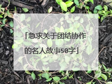 急求关于团结协作的名人故事50字