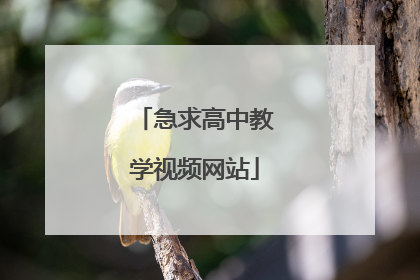 急求高中教学视频网站