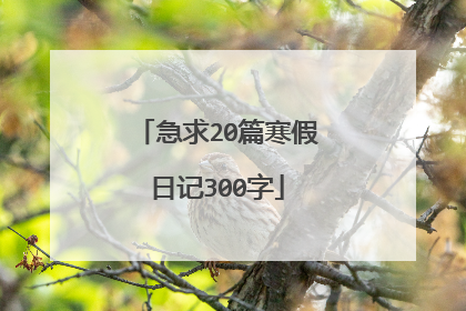 急求20篇寒假日记300字