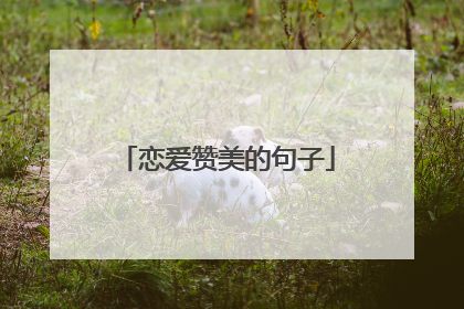 恋爱赞美的句子