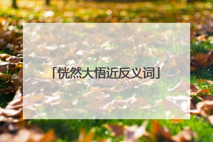 恍然大悟近反义词
