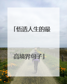 悟透人生的最高境界句子