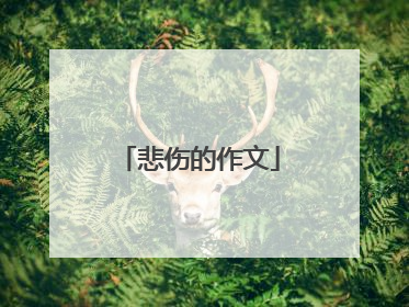 悲伤的作文