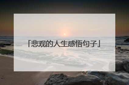 悲观的人生感悟句子