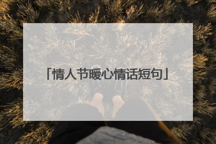 情人节暖心情话短句