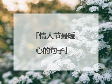 情人节最暖心的句子