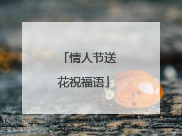 情人节送花祝福语