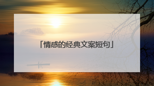 情感的经典文案短句