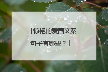 惊艳的爱国文案句子有哪些？