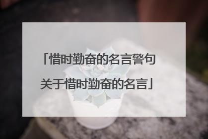 惜时勤奋的名言警句 关于惜时勤奋的名言