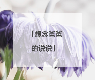 想念爸爸的说说