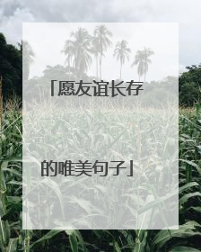 愿友谊长存的唯美句子