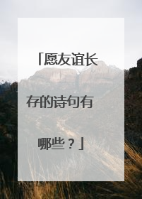 愿友谊长存的诗句有哪些？