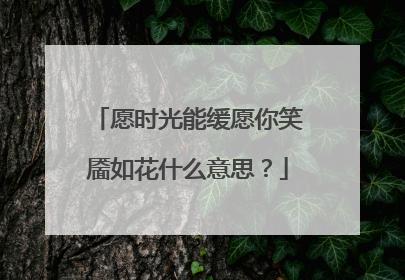 愿时光能缓愿你笑靥如花什么意思？