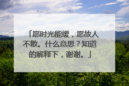 愿时光能缓，愿故人不散。什么意思？知道的解释下，谢谢。