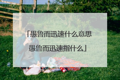 愚鲁而迅速什么意思 愚鲁而迅速指什么