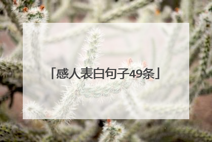 感人表白句子49条