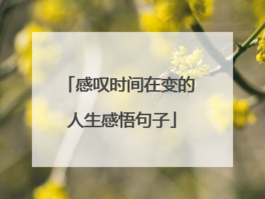感叹时间在变的人生感悟句子