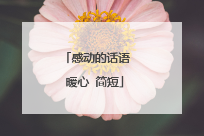 感动的话语 暖心 简短