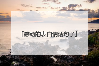 感动的表白情话句子