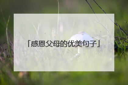 感恩父母的优美句子