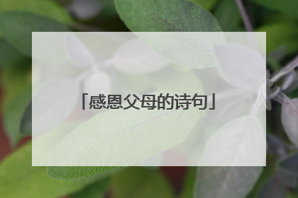 感恩父母的诗句