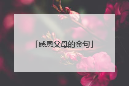 感恩父母的金句