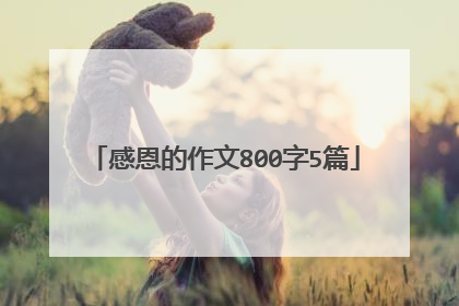 感恩的作文800字5篇