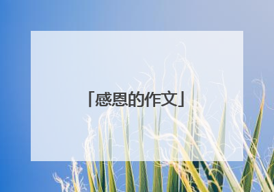 感恩的作文
