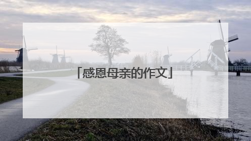感恩母亲的作文