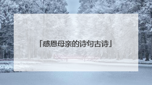 感恩母亲的诗句古诗