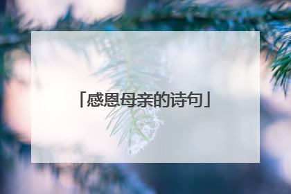 感恩母亲的诗句