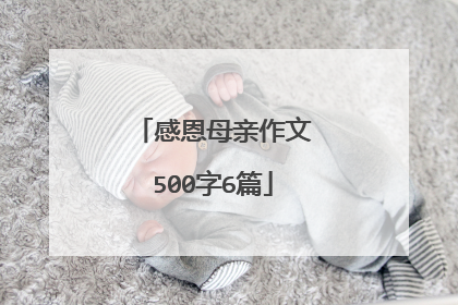 感恩母亲作文500字6篇