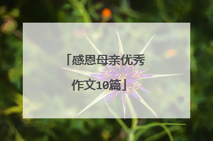 感恩母亲优秀作文10篇