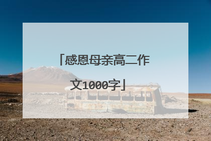 感恩母亲高二作文1000字