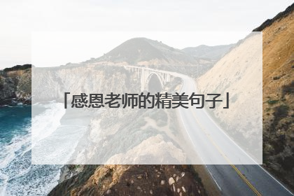 感恩老师的精美句子
