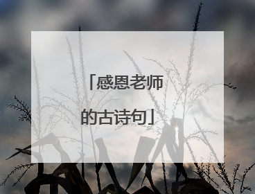 感恩老师的古诗句