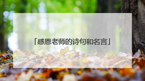 感恩老师的诗句和名言