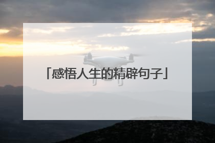 感悟人生的精辟句子