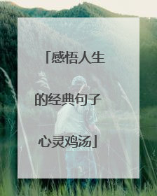 感悟人生的经典句子心灵鸡汤