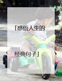 感悟人生的经典句子