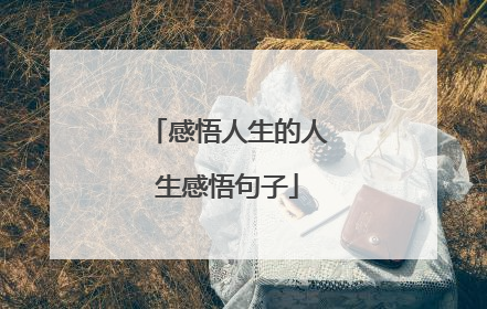 感悟人生的人生感悟句子